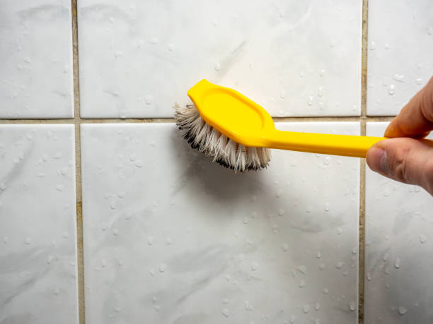 Best Water Damage Restoration  in Marysville, PA