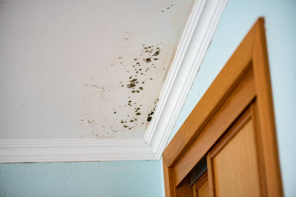 Water Damage Restoration in Marysville, PA